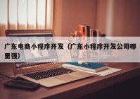 广东电商小程序开发（广东小程序开发公司哪里强）