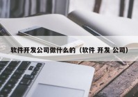 软件开发公司做什么的（软件 开发 公司）