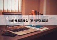 软件开发靠什么（软件开发出路）