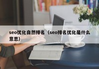 seo优化自然排名（seo排名优化是什么意思）