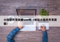 小程序开发需要vue吗（微信小程序开发需要）