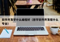 软件开发学什么编程好（想学软件开发报什么专业）