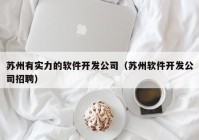 苏州有实力的软件开发公司（苏州软件开发公司招聘）