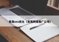 青海seo优化（青海网络推广公司）