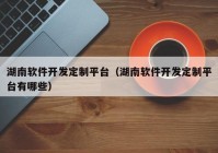 湖南软件开发定制平台（湖南软件开发定制平台有哪些）