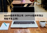 app小程序开发公司（APP小程序开发公司能不能上市）