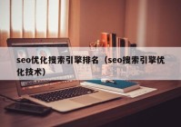 seo优化搜索引擎排名（seo搜索引擎优化技术）