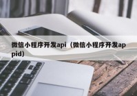 微信小程序开发api（微信小程序开发appid）