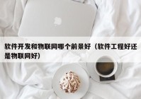 软件开发和物联网哪个前景好（软件工程好还是物联网好）