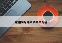 咸阳网站建设的简单介绍