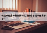 微信小程序开发需要什么（微信小程序开发平台）