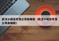 武汉小程序开发公司有哪些（武汉小程序开发公司有哪些）