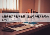 软件开发公司名字推荐（适合软件开发公司的名字）