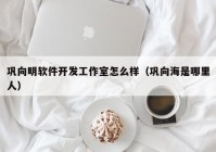 巩向明软件开发工作室怎么样（巩向海是哪里人）