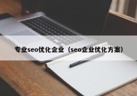 专业seo优化企业（seo企业优化方案）