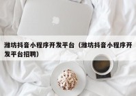 潍坊抖音小程序开发平台（潍坊抖音小程序开发平台招聘）