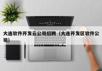 大连软件开发云公司招聘（大连开发区软件公司）