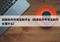 网络软件开发定制平台（网络软件开发定制平台是什么）