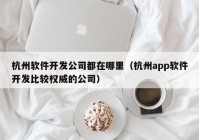 杭州软件开发公司都在哪里（杭州app软件开发比较权威的公司）