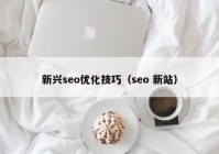 新兴seo优化技巧（seo 新站）