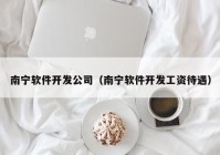 南宁软件开发公司（南宁软件开发工资待遇）