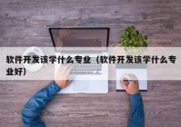 软件开发该学什么专业（软件开发该学什么专业好）