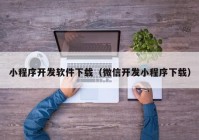 小程序开发软件下载（微信开发小程序下载）