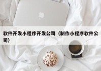 软件开发小程序开发公司（制作小程序软件公司）