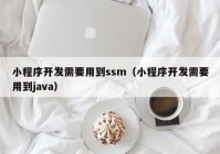 小程序开发需要用到ssm（小程序开发需要用到java）