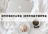 软件开发叫什么专业（软件开发属于哪种专业）