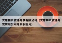 大象精灵软件开发有限公司（大象精灵软件开发有限公司陈紫羽图片）