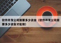 软件开发公司需要多少资金（软件开发公司需要多少资金才能做）